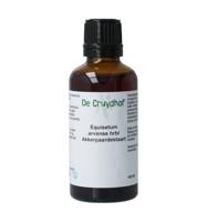 Equisetum arvense / akkerpaardestaart tinctuur