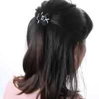 Mode vrouwen haar klauw elegante mini eenvoudige kleurrijke Bun haaraccessoires (zwart)