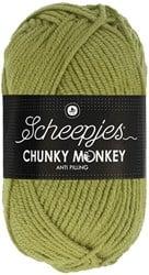 Scheepjes Chunky Monkey 1065 Sage