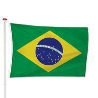 Braziliaanse Vlag