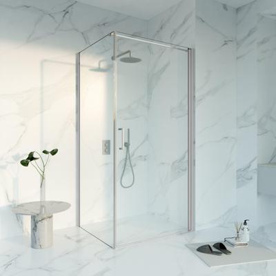 Fortifura Galeria Douchecabine - 100x80x200 - Profiel - veiligheidsglas - anti kalk - Geborsteld RVS PVD (RVS) SW1122492 SW797914 SW797908
