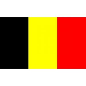 Mini vlag Belgie 60 x 90 cm