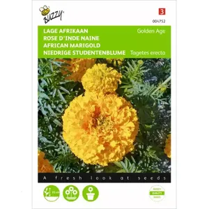 Tagetes, lage Afrikaan Golden Age