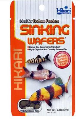 Hikari fish catch tank - Aquadistri