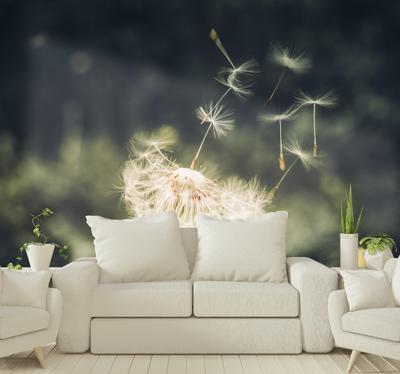 Paardebloem zaden in zonlicht natuur fotobehang