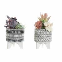 Decoratieve plant DKD Home Decor Cactus Hars Polyethyleen 11 x 11 x 21 cm (2 Stuks)
