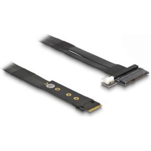 Delock 64216 M.2 Key M naar U.2 SFF-8639 NVMe-adapter met 20cm kabel