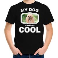Honden liefhebber shirt Poedel my dog is serious cool zwart voor kinderen XL (158-164)  -