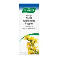 A.Vogel Solidago Vochthuishouding* Druppels