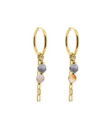 Solid Gold Oorbel Zina Botswana Agaat