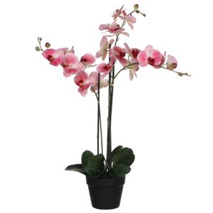 Mica Decorations Orchidee bloem kunstplant - roze - H75 x B50 cm   -