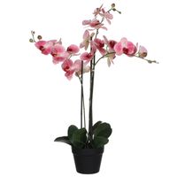 Mica Decorations Orchidee bloem kunstplant - roze - H75 x B50 cm   - - thumbnail