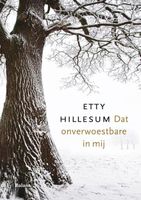 Dat onverwoestbare in mij - Etty Hillesum - ebook