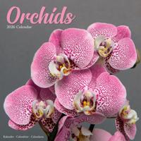 Orchidee Kalender 2026