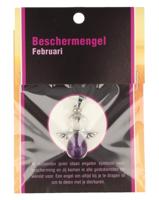 Ruben Robijn Beschermengel februari