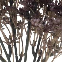 Sedum bush mauve 32 cm kunstbloem Erutan Avon - Erutan avon