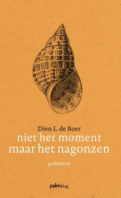 Niet het moment maar het nagonzen (Paperback)
