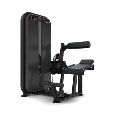 Vision Fitness ab/low back