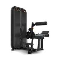 Vision Fitness ab/low back