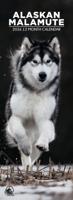 Alaskan Malamute Slimline Kalender 2026 Alaskan Malamute Slimline Kalender 2026