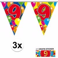 9 jaar vlaggenlijnen 3x met gratis sticker   -