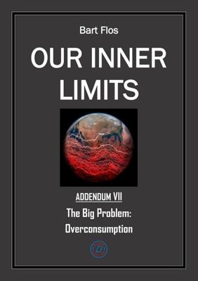 The Big Problem: Overconsumption - Bart Flos - ebook