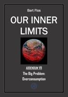 The Big Problem: Overconsumption - Bart Flos - ebook