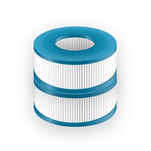 Spa filter type 106 (o.a. SC806) - 2 stuks