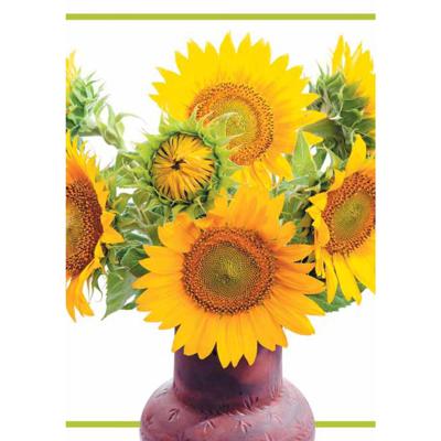 Wenskaarten blanco bloem pak a 10 stuks
