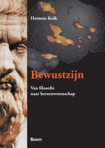 Bewustzijn - Herman Kolk - ebook