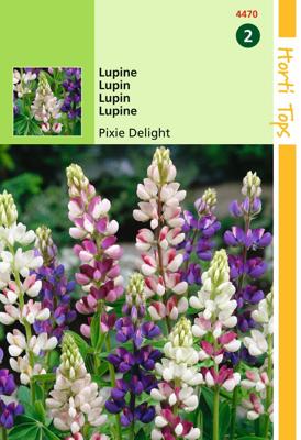 Lupinus Nanus Pixie Delight Gemengd - Hortitops