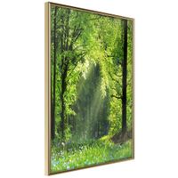 Ingelijste Poster - Pad door het Bos,Goudkleurige lijst - thumbnail