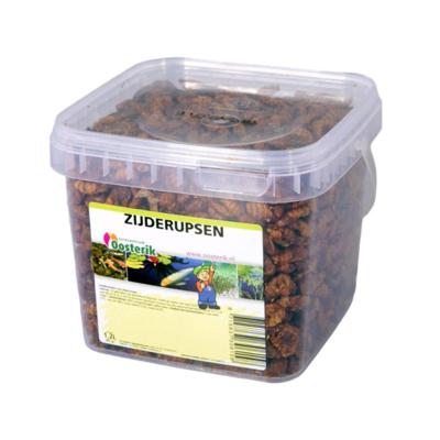 Zijderupsen 1.2 liter - Suren collection