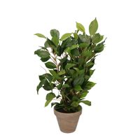 Groene ficus kunstplant 40 cm voor binnen   -