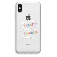 Right Place: iPhone XS Max Transparant Hoesje