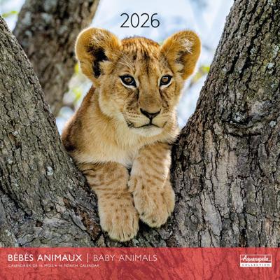Baby Dieren Kalender 2026