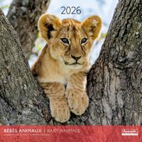 Baby Dieren Kalender 2026
