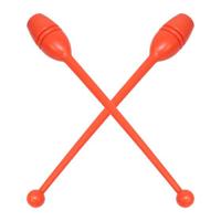 RHYTHMIC GYMNASTIC CLUBS