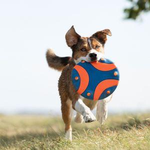 Chuckit! Frisbee Whistle Flight, blauw-oranje