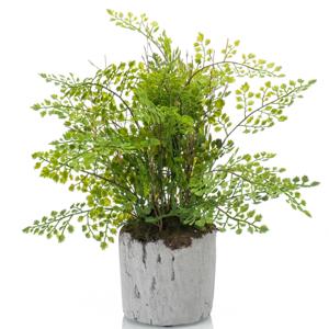 Emerald Kunstplant Varen - 28 cm - In Pot - Decoratie Kunstplanten voor binnen