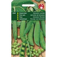 5 stuks - Tuinplus - Doperwten Kelvedon Wonder