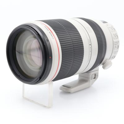 Canon EF 100-400mm f/4.5-5.6 L IS USM II (draaizoom) occasion
