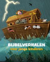 Bijbelverhalen voor jonge kinderen (Hardback)