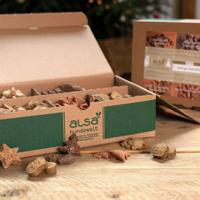 alsa-nature Kerst-selectie