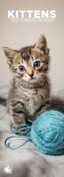 Kittens Slimline Kalender 2026