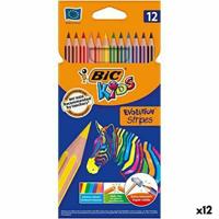 Kleurpotloden Bic KIDS EVOLUTION STRIPES Multicolour 12 Onderdelen (12 Stuks)