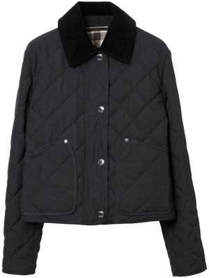 Burberry surchemise en coton à col pointu - Noir