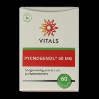 Pycnogenol 60 Capsules
