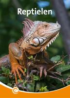 Reptielen (Hardback)