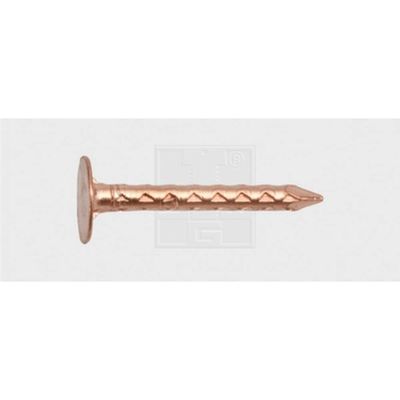 SWG 4009155662152 Asfaltspijker (Ø x l) 2 mm x 20 mm Koper 1 kg